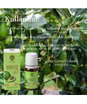 Avakado Yağı 10 ml
