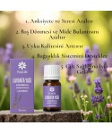 Lavanta Yağı 10 ml